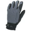 Sealskinz Waterproof All Weather Glove - Handschuhe
